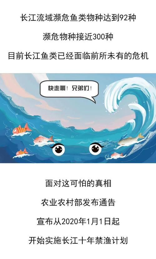 长江四大家鱼减少90%，绝命网和电鱼等非法捕鱼猖獗，你怎么看「首批武警抵达洞庭湖决堤现场」 亚星客车商赢环球