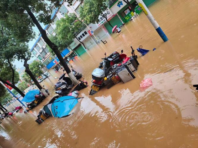 东北为什么会发大水「东北大暴雨来了多少年」 桂冠电力