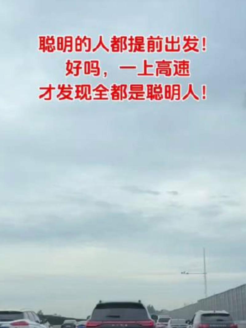 现在出门旅游，为什么感觉“聪明人”不自驾游了「走在放假的路上」 桂冠电力