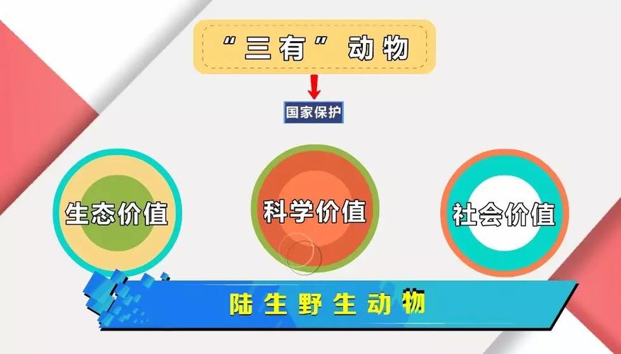 野生动物三有动物包含哪些「将野猪移出三有名录是哪一集」 亚星客车商赢环球